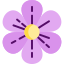 BloomStars